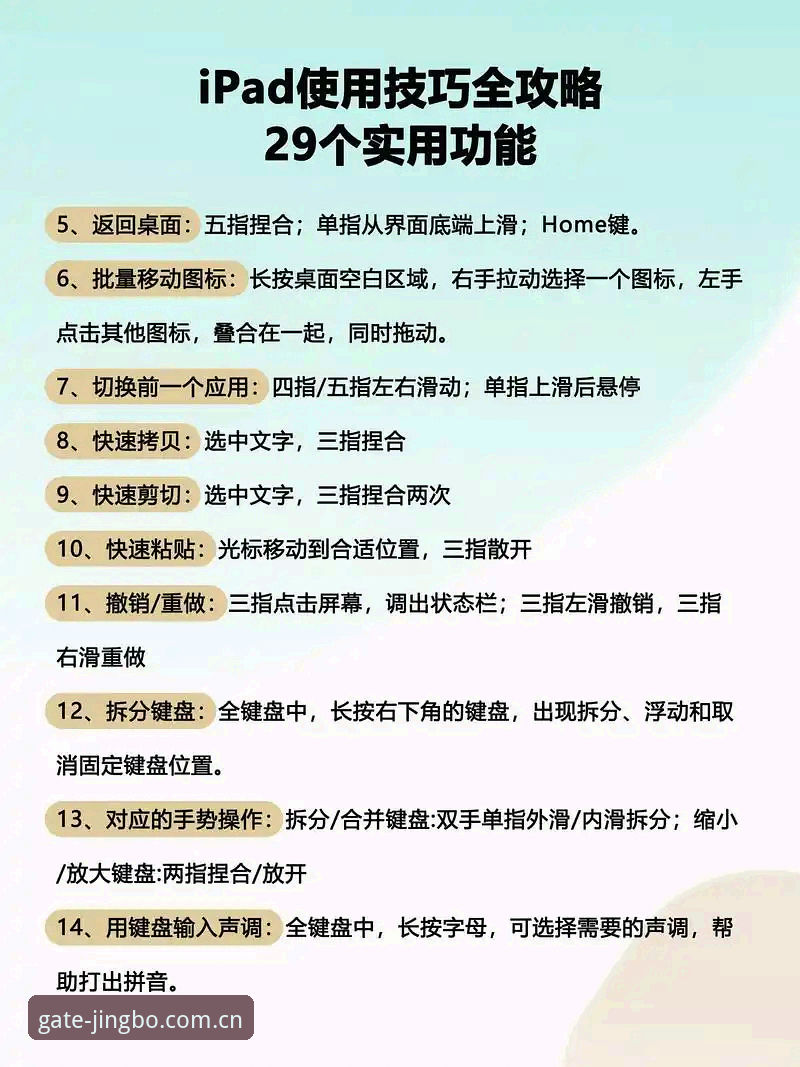 竞博APP怎么用 竞博APP使用详解:从下载到实战的全方位指南